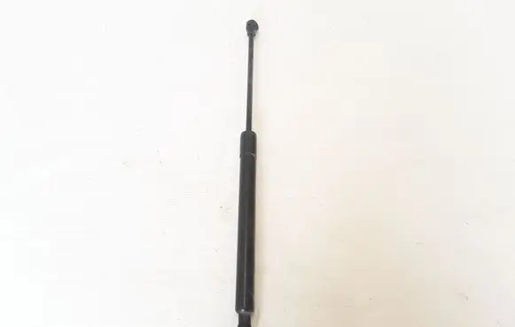 Tailgate strut