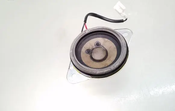 Front door high frequency speaker