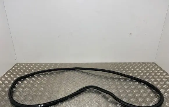 Audi A6 C7 Front door rubber seal 