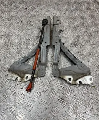 Volkswagen Golf Plus Engine bonnet/hood hinges 5M0823301