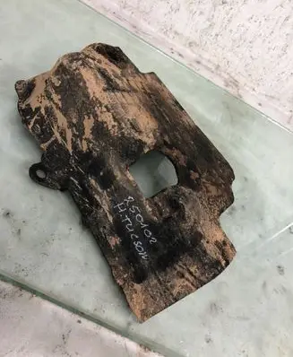 Hyundai Tucson IV NX4 Heat shield in engine bay 215202u700