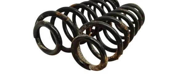 Rear coil spring