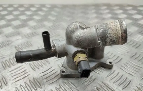 Thermostat/thermostat housing