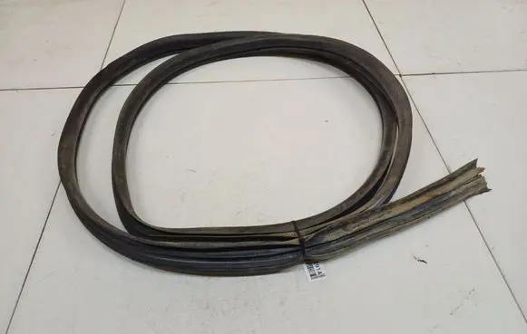 Renault Laguna III Rubber seal rear door