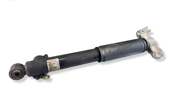 Opel Insignia A Rear shock absorber/damper 13319754 4424000054
