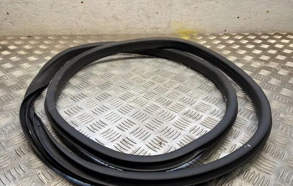Ford Ecosport Rubber seal rear door 