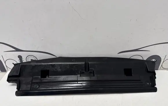Lexus UX Sliding door wind deflector 1659210010