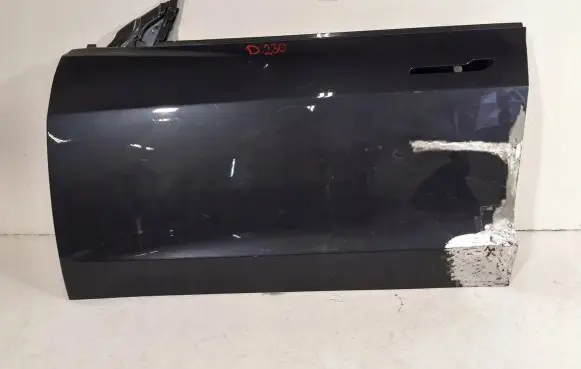 Tesla Model 3 Front door