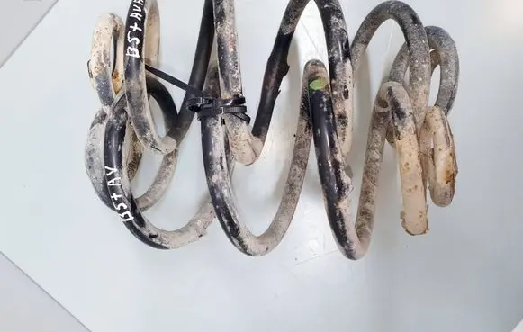 Rear coil spring