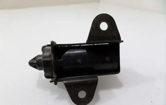 Ford Focus Turbo solenoid valve