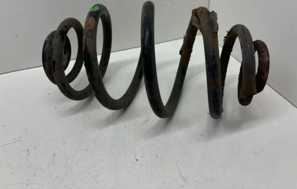 Volkswagen PASSAT B5 Rear coil spring