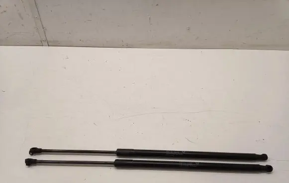 Tailgate/trunk strut/damper