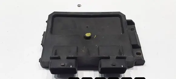 Peugeot 206 Engine control unit/module r04080015h