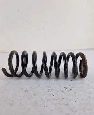 Rear coil spring
