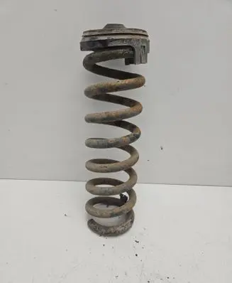 Mercedes-Benz CLS C219 Rear coil spring