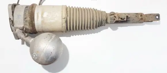 Volkswagen Phaeton Rear shock absorber/damper 3d0616002g 0303052232