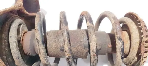 Front coil spring