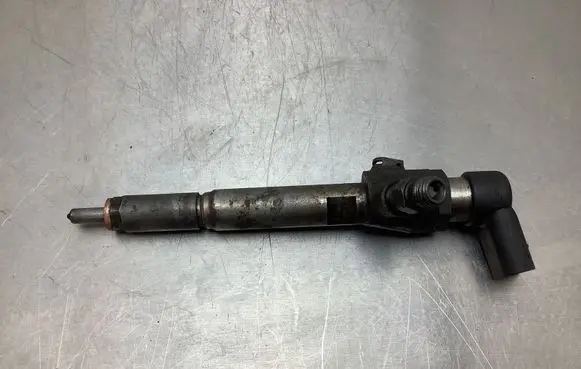 Renault Laguna III Fuel injector H8200294788 8200842205