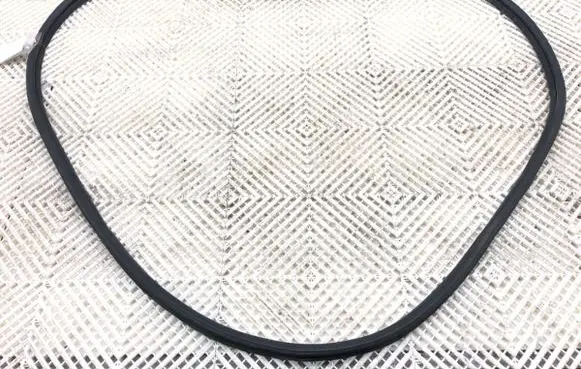 KIA Ceed Rubber seal front door (on door) 