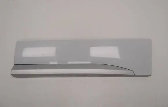 Seat Ateca Rear door trim (molding) 575854949C