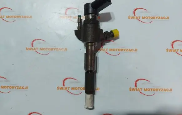 Citroen DS4 Fuel injector 9802448680