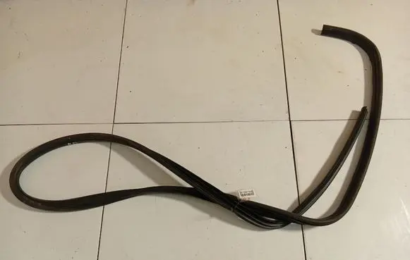 Ford Focus Rubber seal front coupe door 