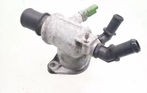 Thermostat/thermostat housing