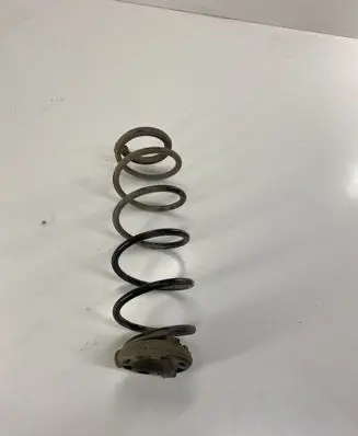 Renault Laguna III Rear coil spring