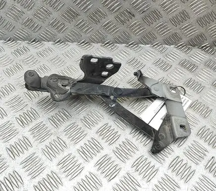 Mercedes-Benz GLS X166 Engine bonnet/hood hinges A1668800028