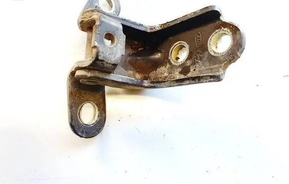 Rear door lower hinge