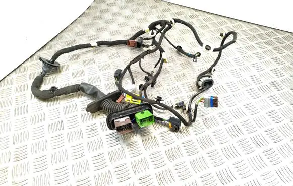 Peugeot 508 II Front door wiring loom 9822489280