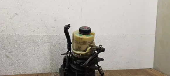 Renault Trafic III (X82) Power steering pump 491100616R A0047924A 93457191