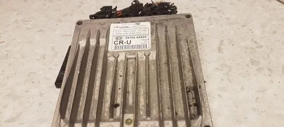 KIA Carnival Engine control unit/module 391024X520 R040C045F