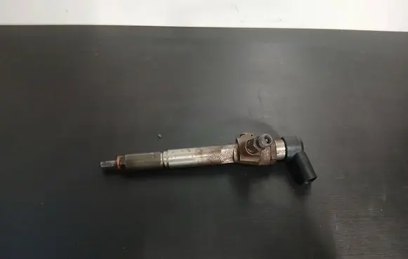 Nissan Qashqai Fuel injector H8200294788