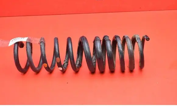 Rear coil spring