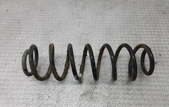 Volkswagen Fox Rear coil spring