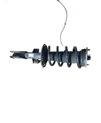 Volkswagen Crafter Front shock absorber with coil spring 2N0413031BF E5824501