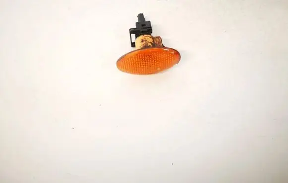 Front fender indicator light