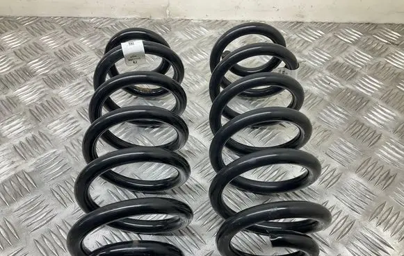 Rear coil spring