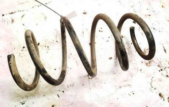 Toyota RAV 4 (XA30) Front coil spring