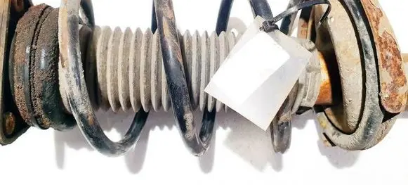 Ford Focus C-MAX Front coil spring 