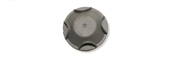Renault Kangoo III Headlight/headlamp dust cover 