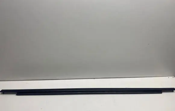 Dodge Charger Rubber seal rear door window/glass 61897A