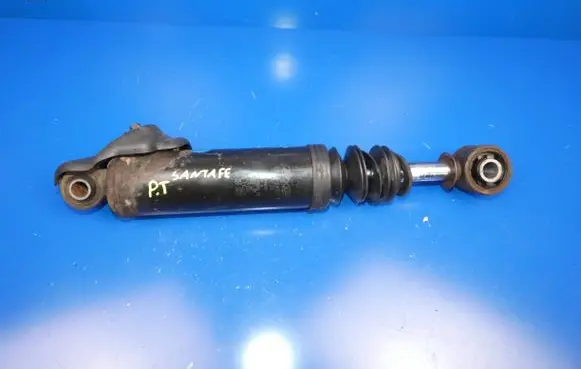 Hyundai Grand Santa Fe NC Rear shock absorber/damper 553202W210