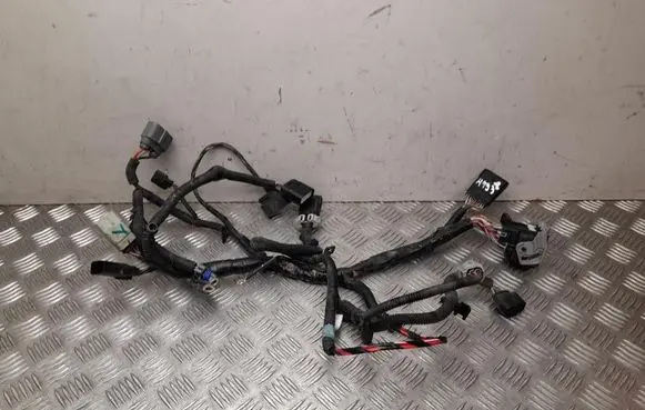 Tesla Model S Other wiring loom 100531200H