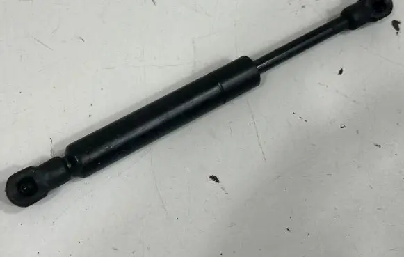 Tailgate/trunk strut/damper