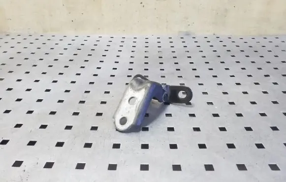 Hyundai ix35 Front door lower hinge 