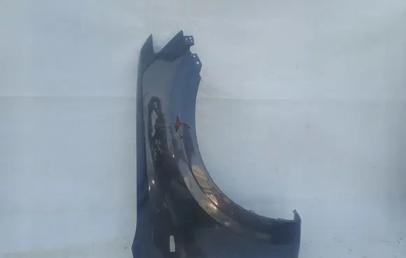 Mitsubishi Pajero Fender