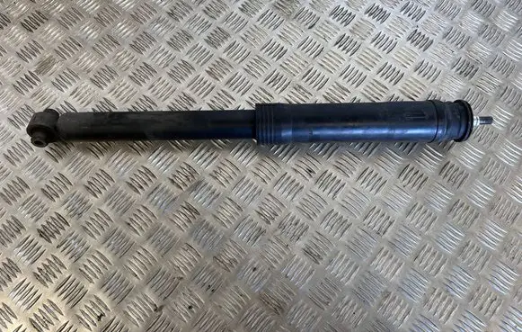 Toyota Mirai Rear shock absorber/damper 4853062010