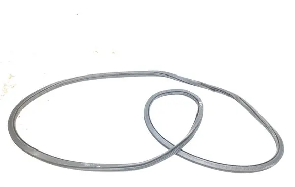 Volkswagen Tiguan Allspace Front door rubber seal 